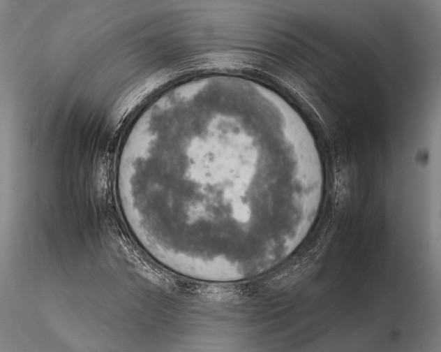 X0000115580874200912011436