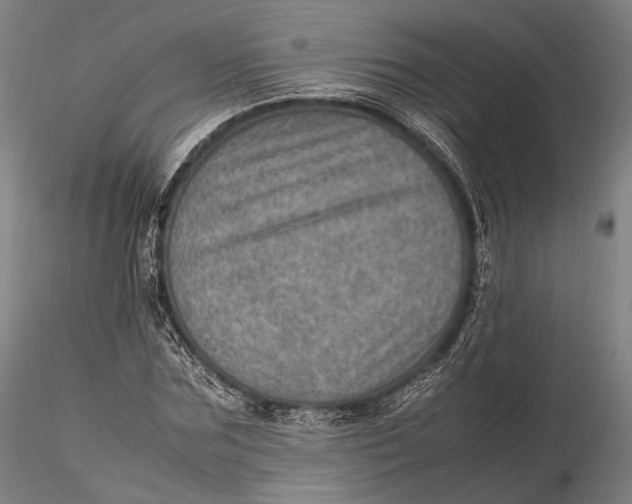 X0000115580875200912011436