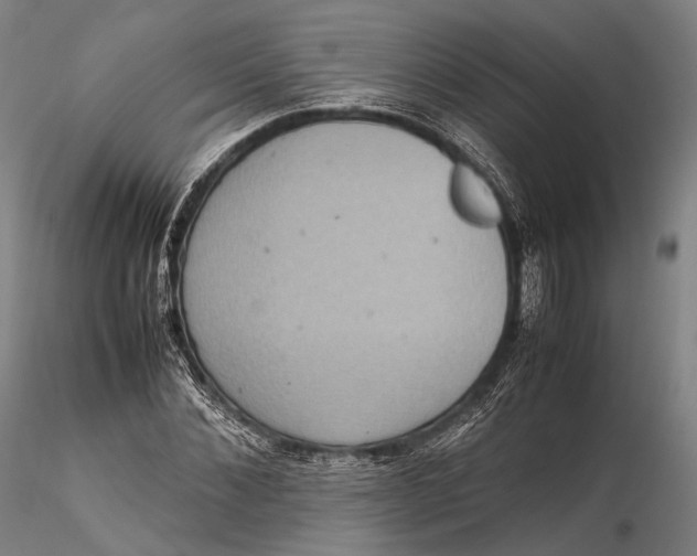 X0000115580876200912011436