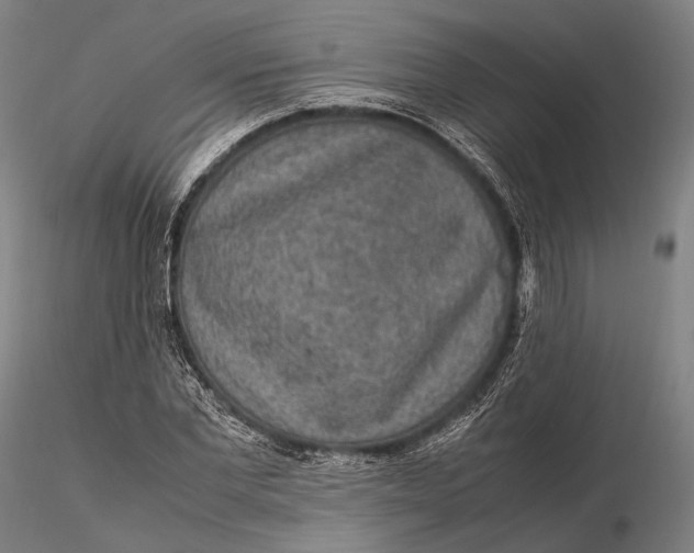 X0000115580877200912011436