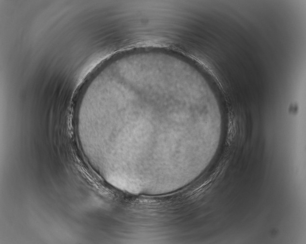 X0000115580878200912011436