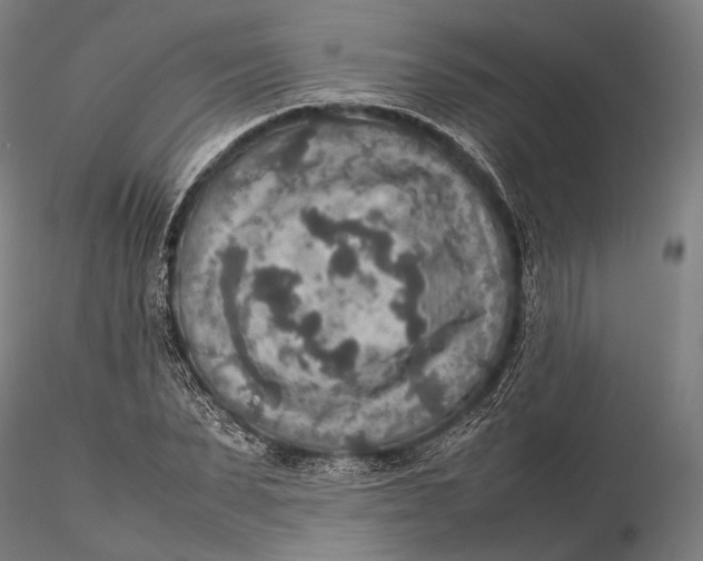 X0000115580879200912011436