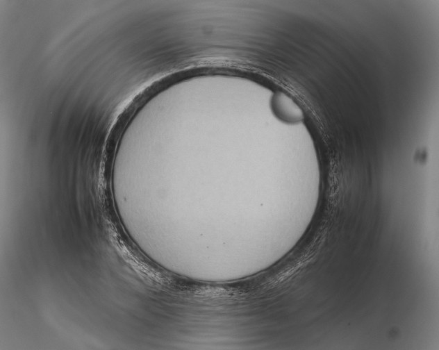 X0000115580880200912011436