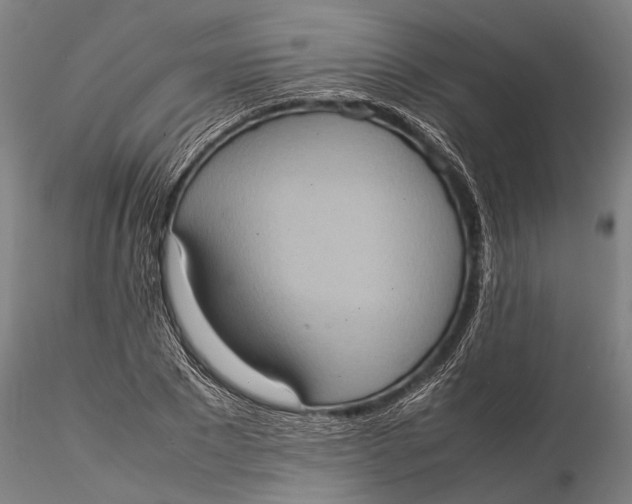 X0000115580881200912011436