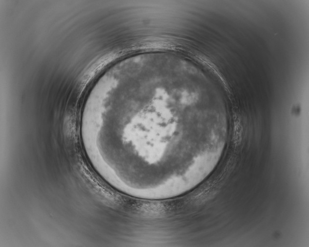 X0000115580882200912011436