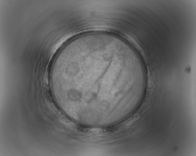 X0000115580883200912011436