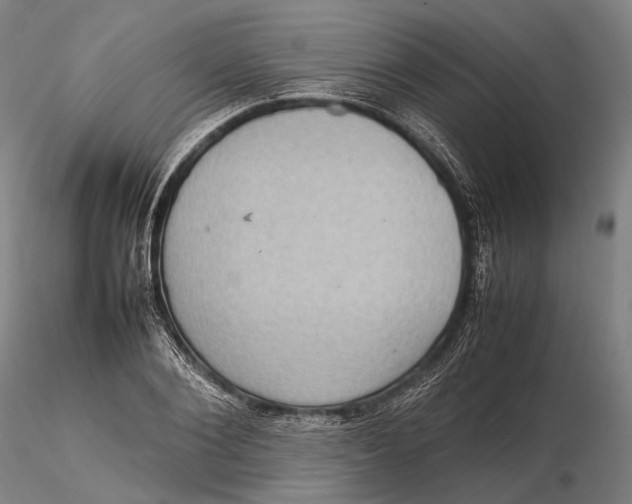 X0000115580884200912011436