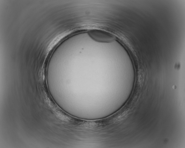 X0000115580885200912011436