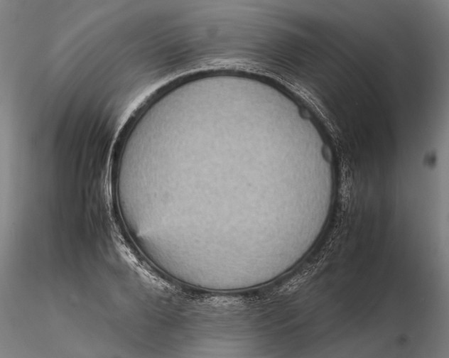 X0000115580888200912011436