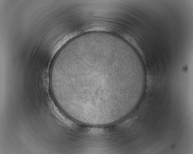 X0000115580890200912011436