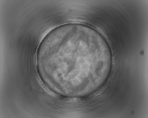 X0000115580891200912011436