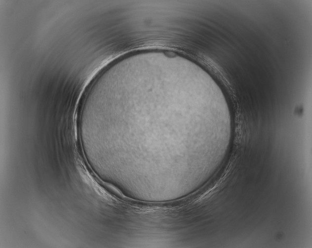 X0000115580892200912011436