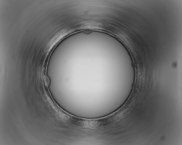 X0000115580893200912011436