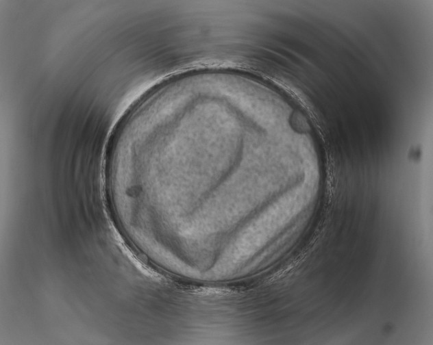 X0000115580894200912011436