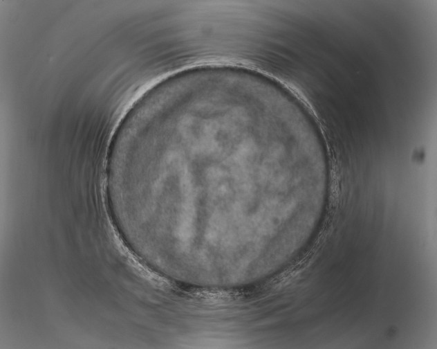 X0000115580895200912011436