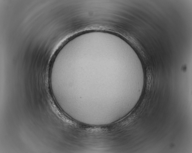 X0000115580896200912011436