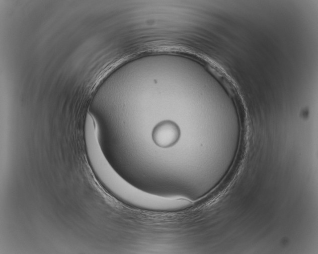 X0000115580897200912011436