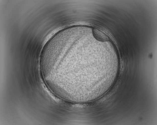 X0000115580898200912011436