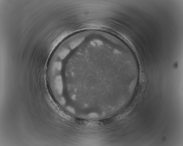 X0000115580899200912011436