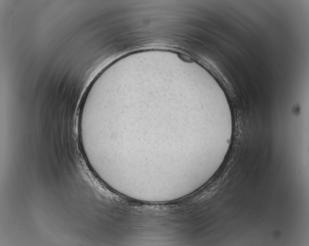 X0000115580900200912011436