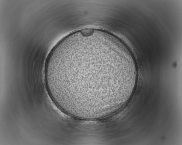 X0000115580902200912011436