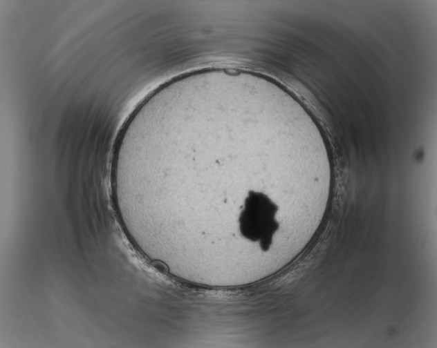 X0000115580904200912011436