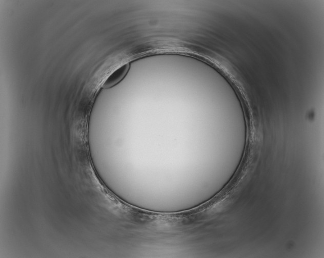 X0000115580905200912011436