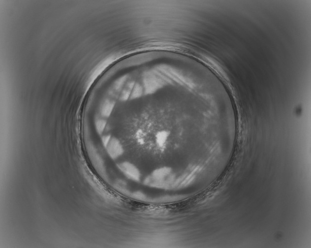 X0000115580907200912011436