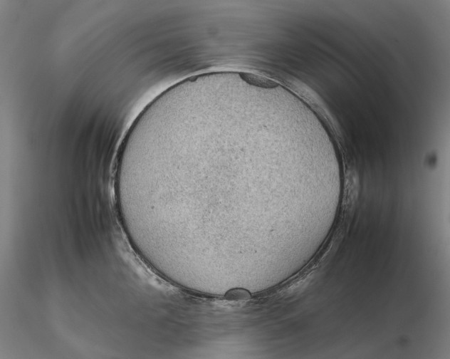 X0000115580908200912011436