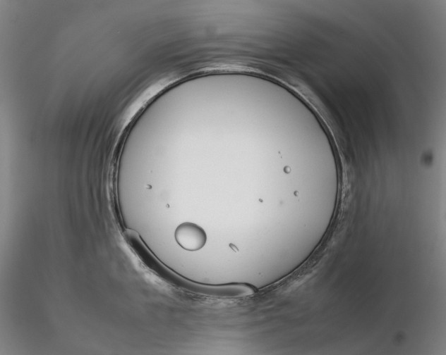 X0000115580909200912011436