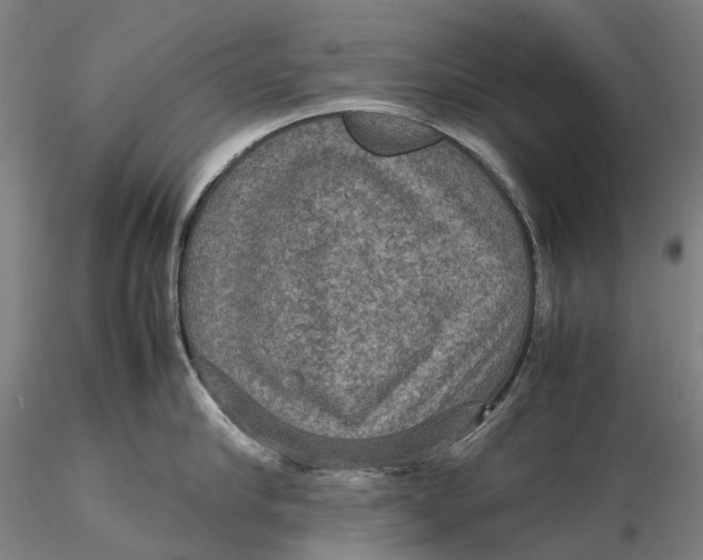 X0000115580910200912011436