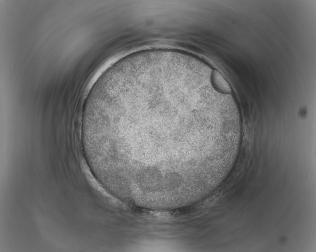 X0000115580911200912011436