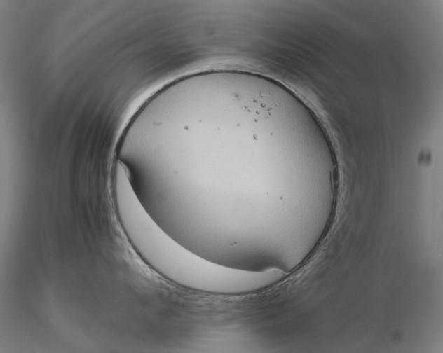 X0000115580912200912011436