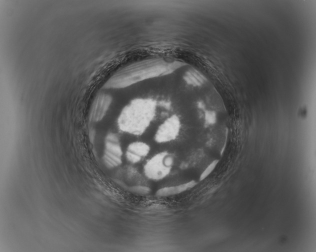 X0000115580913200912011435