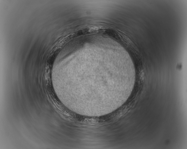 X0000115580914200912011435