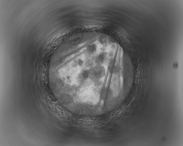 X0000115580917200912011435