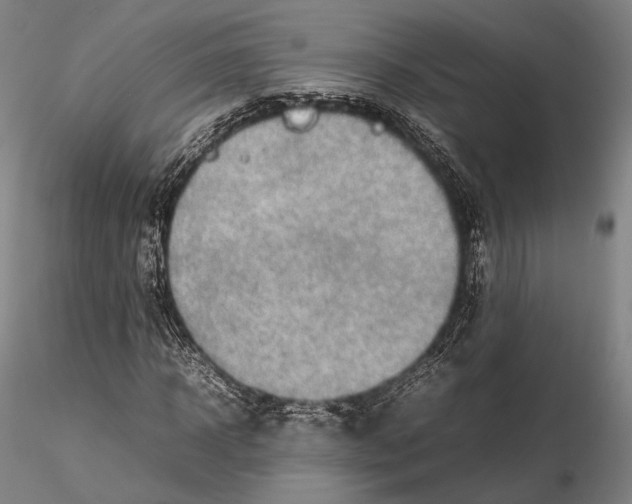 X0000115580918200912011435