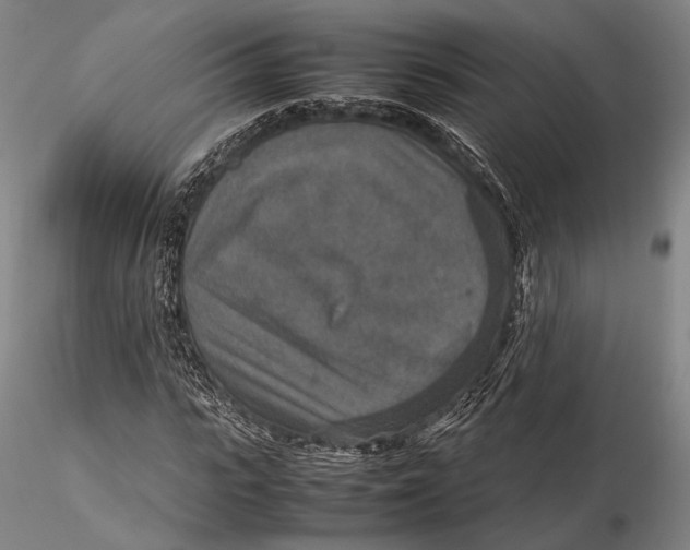 X0000115580919200912011435