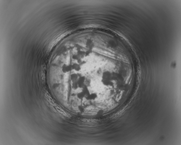 X0000115580921200912011435