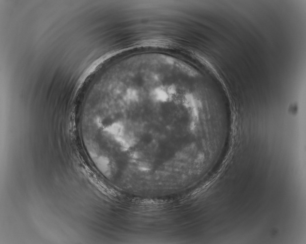 X0000115580923200912011435