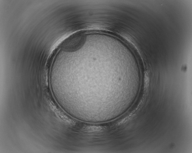 X0000115580925200912011435