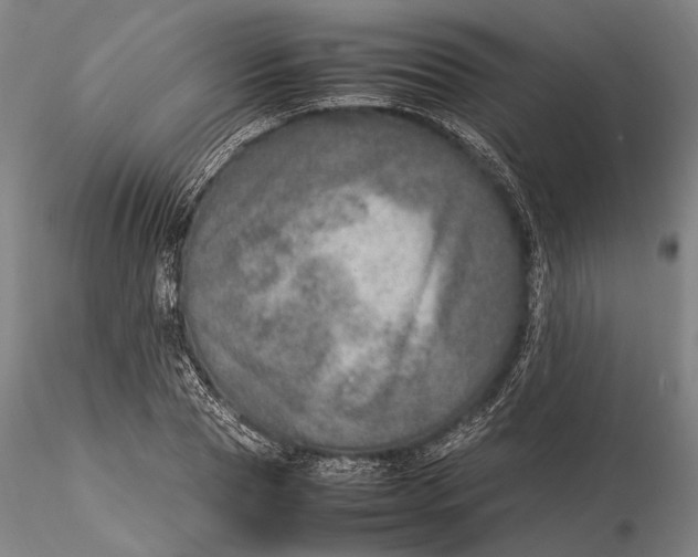 X0000115580929200912011435