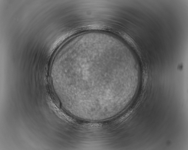 X0000115580930200912011435