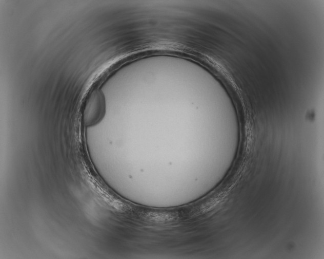 X0000115580931200912011435