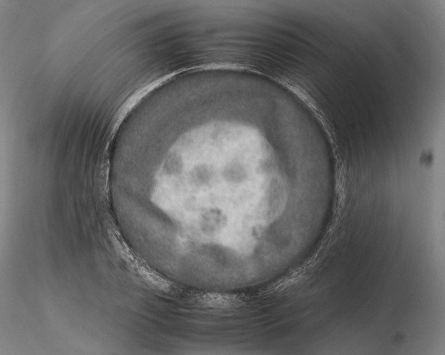 X0000115580933200912011435