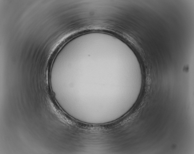 X0000115580934200912011435