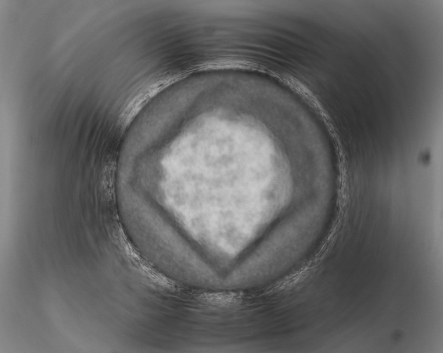 X0000115580937200912011435