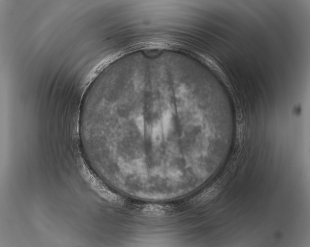 X0000115580938200912011435