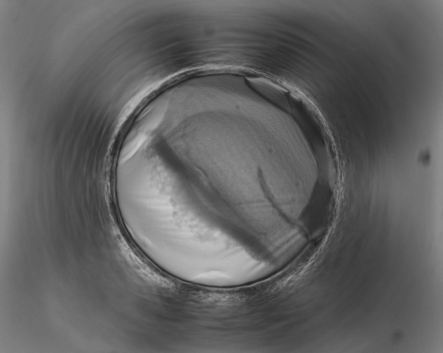 X0000115580941200912011435