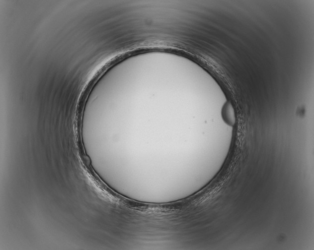 X0000115580942200912011435